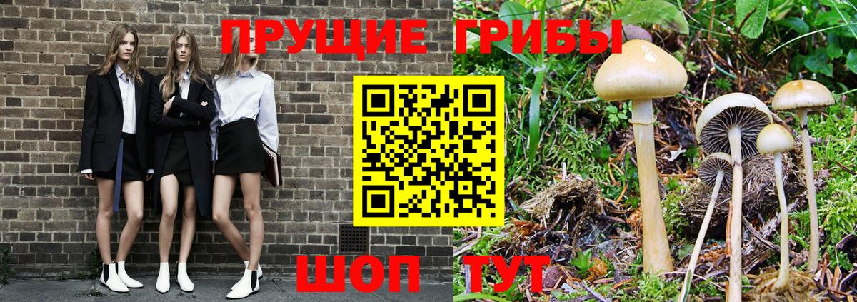 Псилоцибиновые грибы мухоморы  Вход с VPN  Галлюциногенные грибы прущие грибы  цены наркотик  Хабаровск 