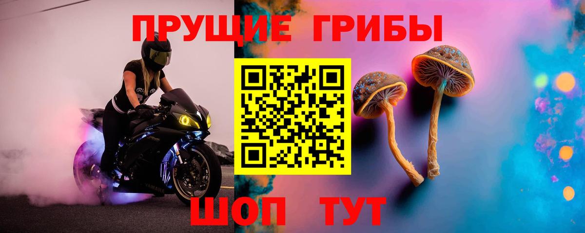 Псилоцибиновые грибы Psilocybine cubensis Хабаровск